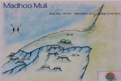Maadhoo Muli